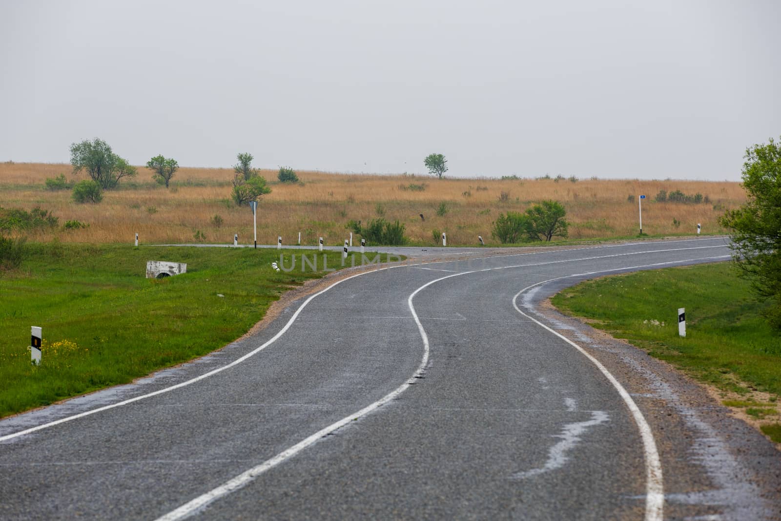 Asphalt road receding into the distance among green fields.