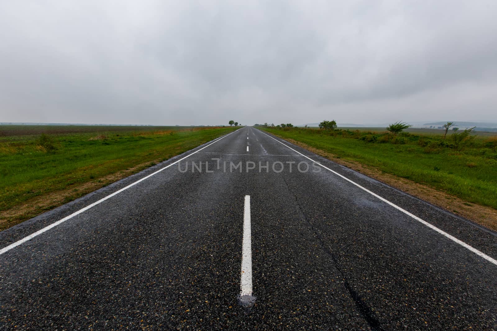 Asphalt road receding into the distance among green fields.