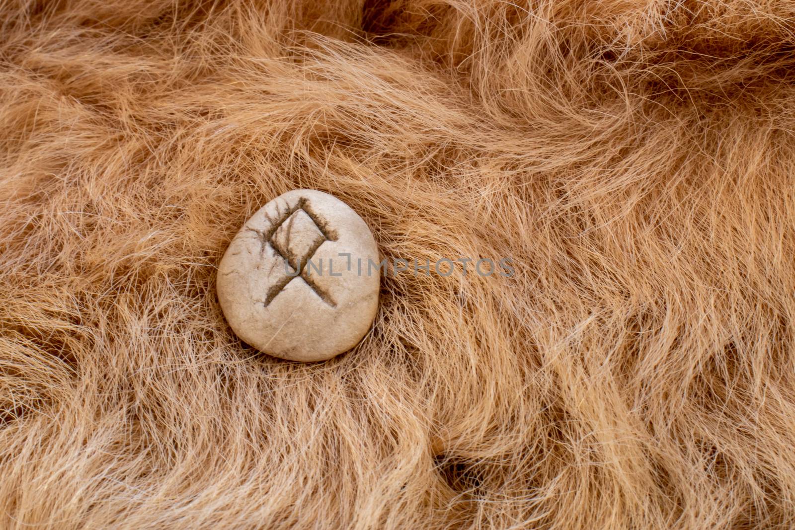 Othila or Othial Nordic stone rune on fur. Letter Ethel of the Viking alphabet.