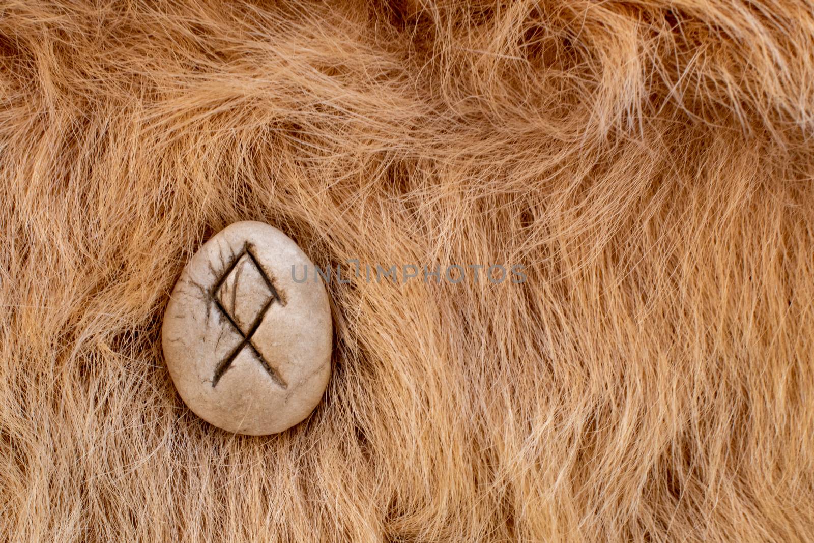 Othila or Othial Nordic stone rune on fur. Letter Ethel of the Viking alphabet.