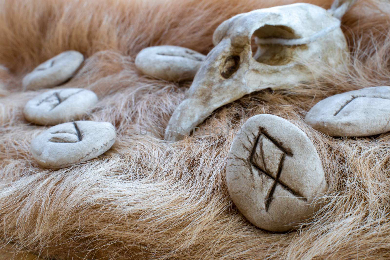 Stone Othila runes on a fur. Futhark viking alphabet. Close up photo of Norse runes.