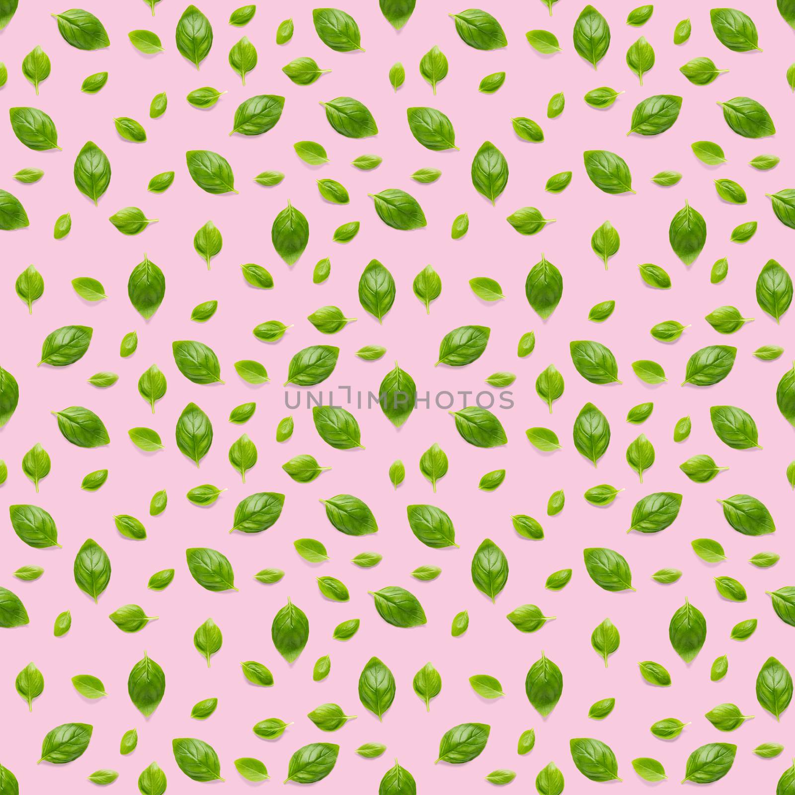 Italian Basil leaf herb seamless pattern on pink background, Creative seamless pattern made from fresh green basil flat lay layout. Food ingredient seamless pattern.