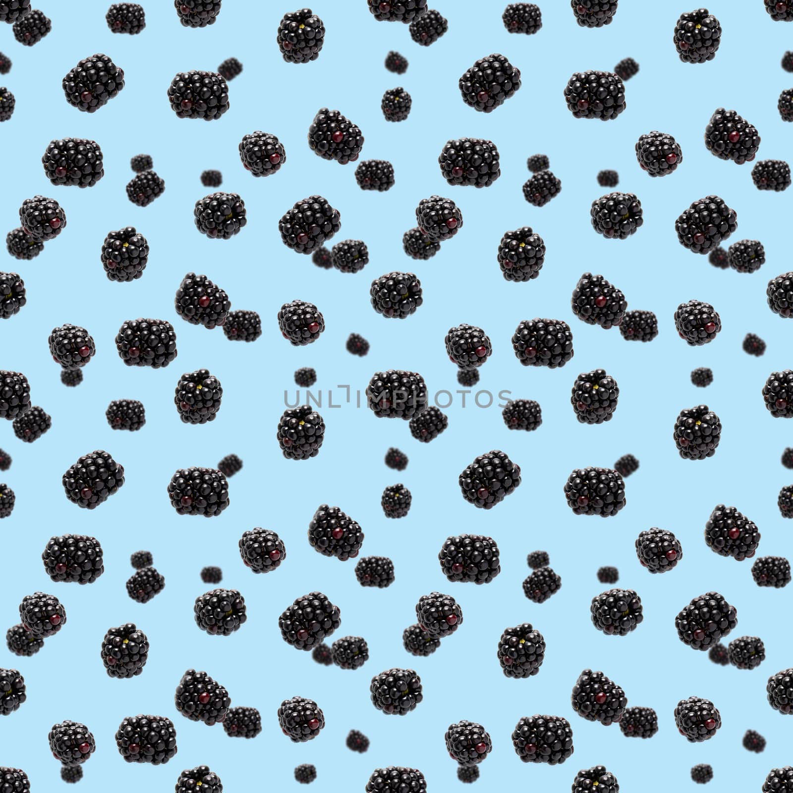 Falling Bramble Seamless pattern. Fresh Falling blackberry seamless pattern. Square pattern with fresh wild berries isolated on blue background. flat lay.