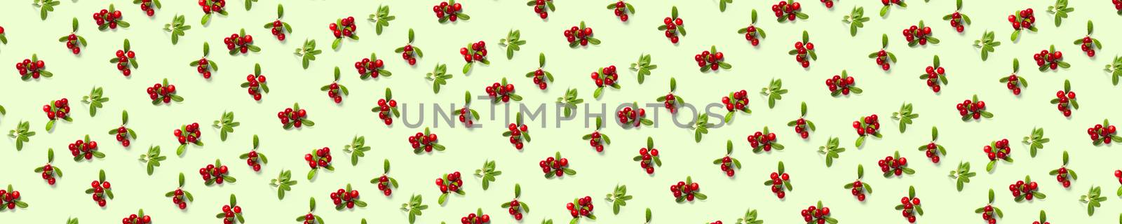 Lingonberry background on green backdrop. Fresh cowberries or cranberries with leaves as background by PhotoTime