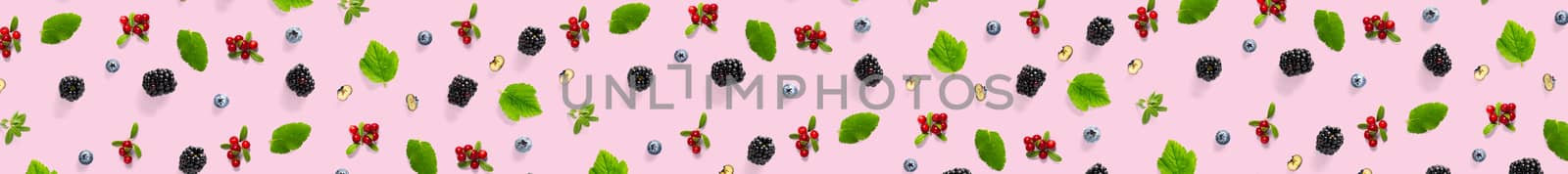 Creative set of wild berries, blackberry, blueberry, lingonberry and bramble. modern banner background on pink backdrop made from autumn forest wild berries. Forest berries mix