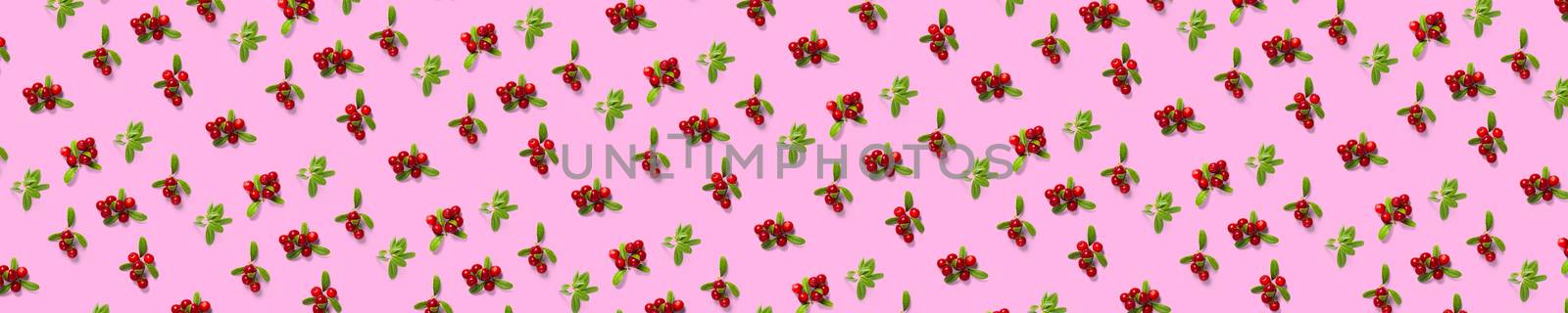 Lingonberry background on pink backdrop. Fresh cowberries or cranberries with leaves as autumn or christmas background