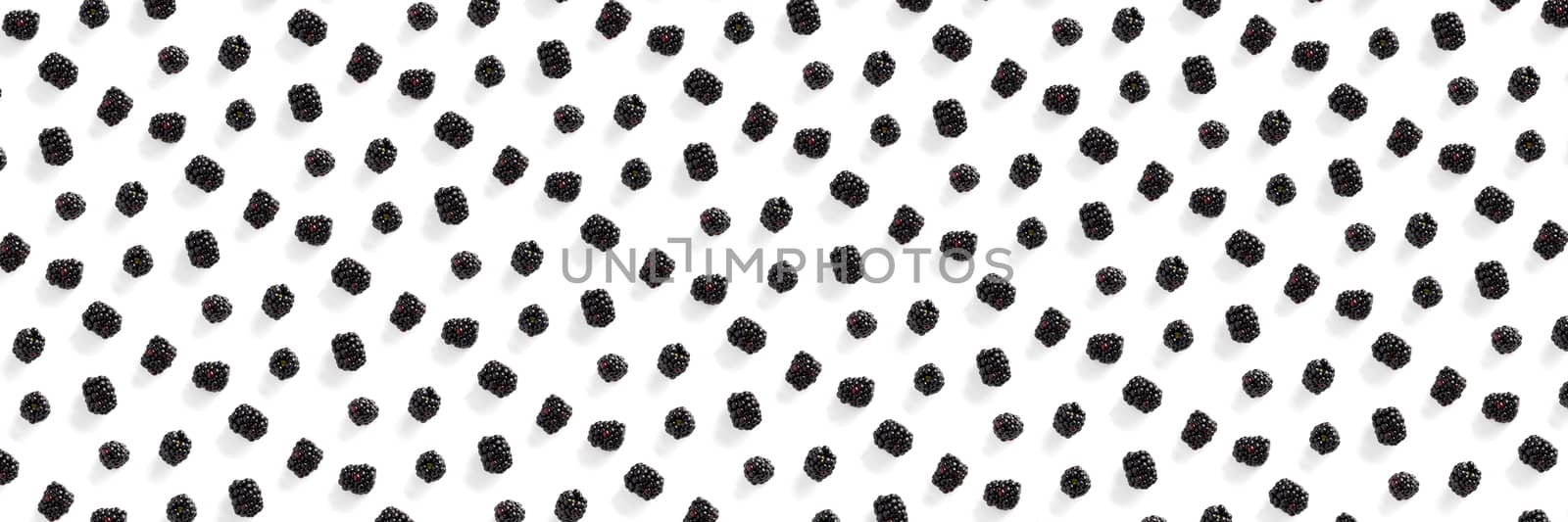 Banner Background from isolated brambles. Group of tasty blackberry isolated on white background. modern backround of falling blackberry or bramble. by PhotoTime