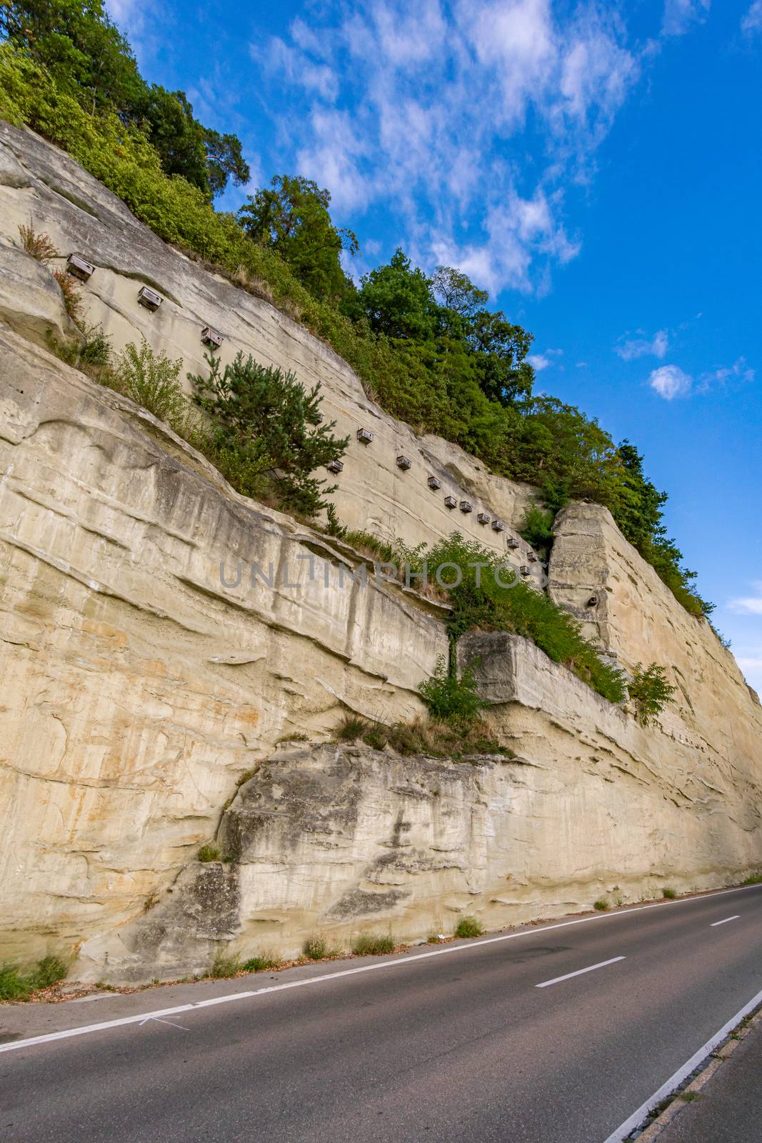 Wonderful autumn hike near Sipplingen and Uberlingen on Lake Constance with fantastic views, gorges, vineyards, cows