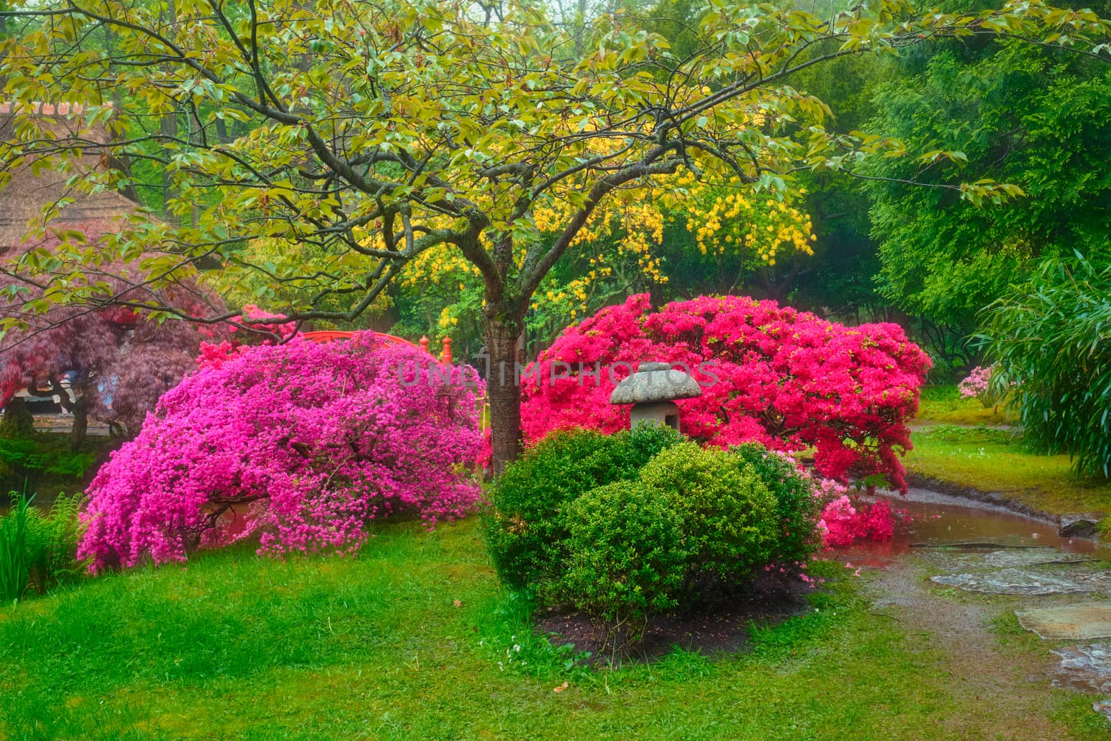 Stone lantern in Japanese garden with blooming flowers, Park Clingendael, The Hague, Netherlands