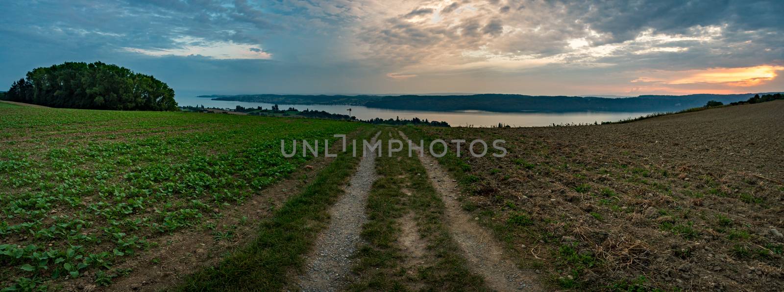 Wonderful autumn hike near Sipplingen and Uberlingen on Lake Constance with fantastic views, gorges, vineyards, cows