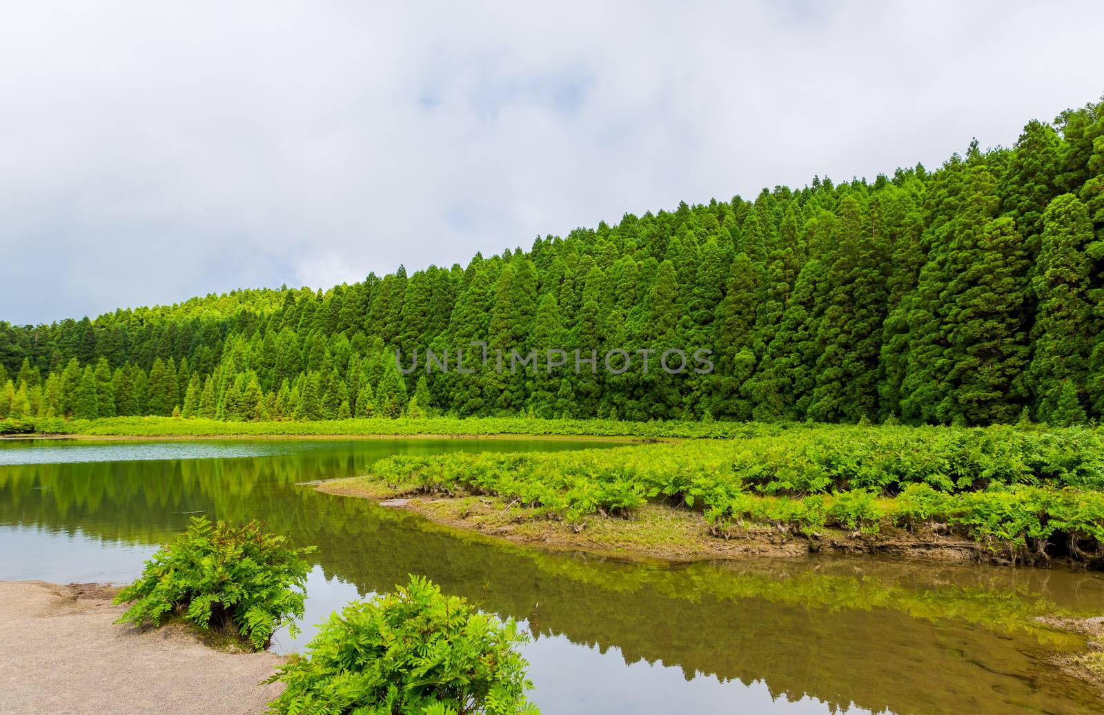 Lagoa do Canario. View of the green lagoon of Canary lake in Sao Miguel island, Azores, Portugal on a beautiful sunny say