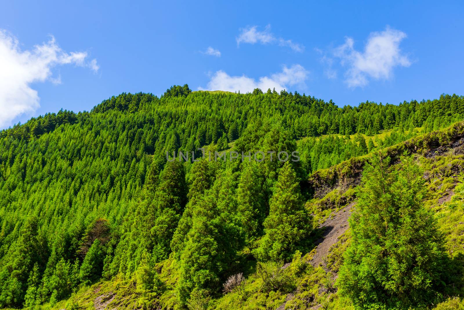 Beautiful landscape sceneries in Azores Portugal. Tropical nature in Sao Miguel Island, Azores.