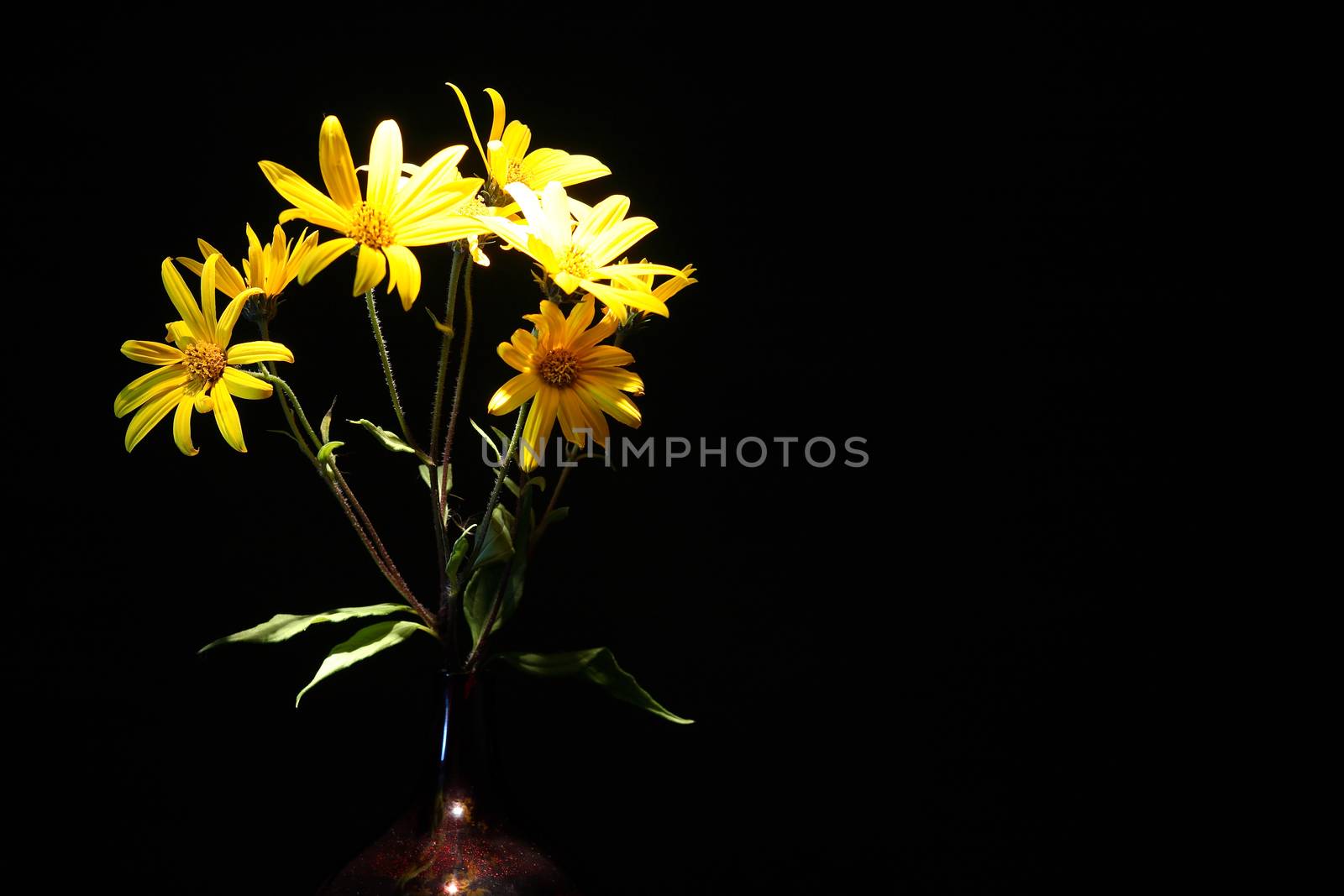 Nice yellow wildflowers in glass vase against black background
