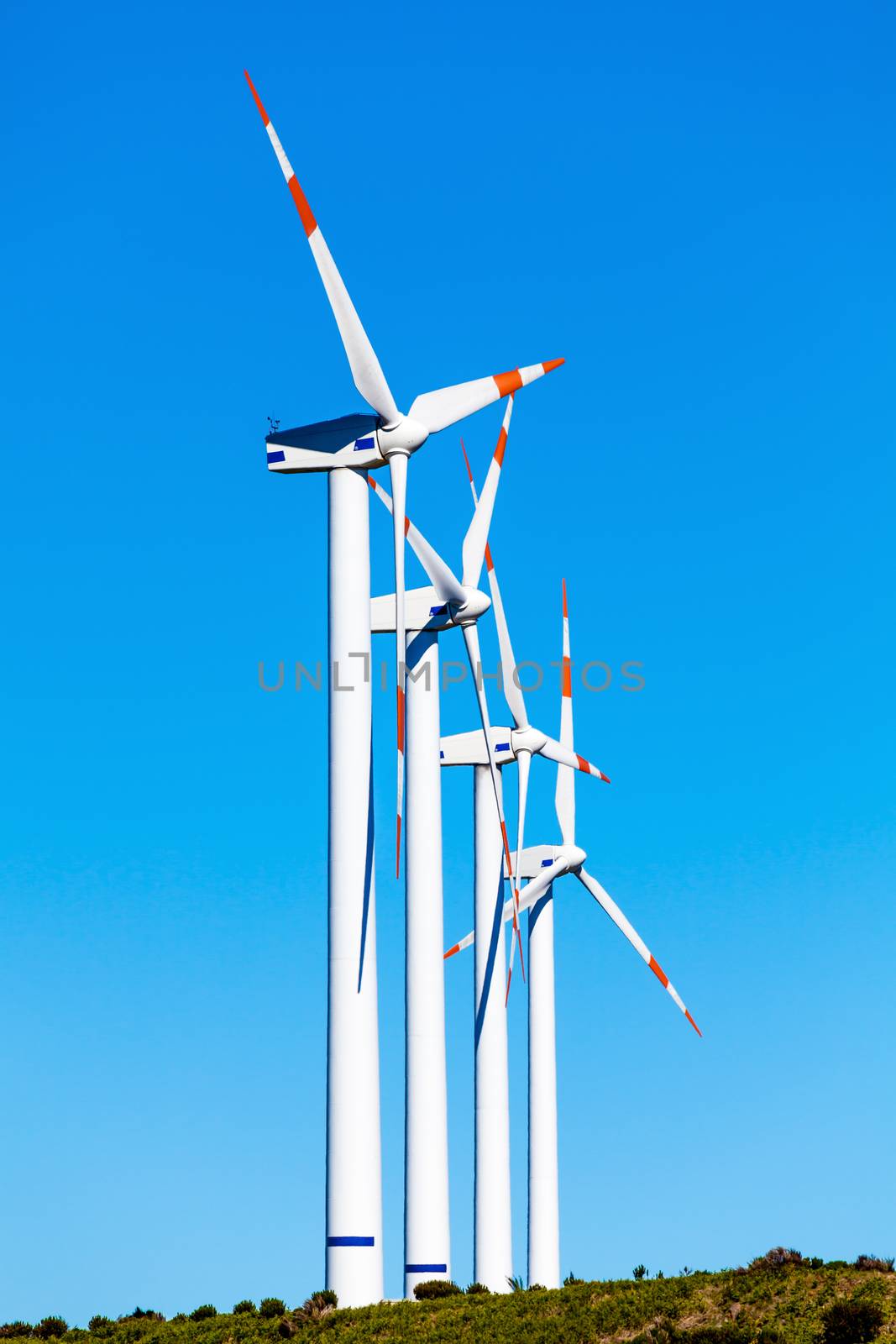 Eco power wind turbines landscape