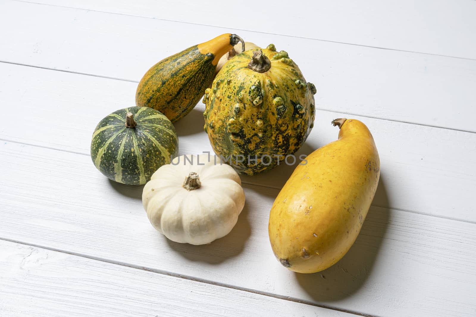 some colorful pumpkins on a white wooden table