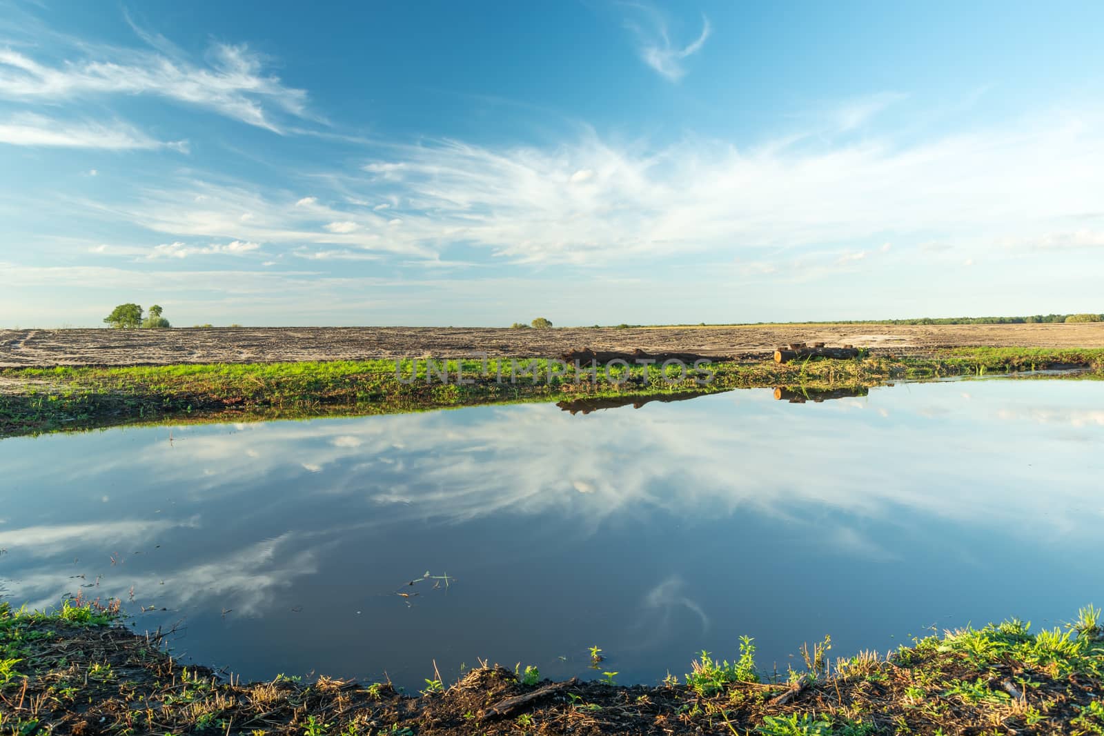 Cloud reflection in water on the field, summer view