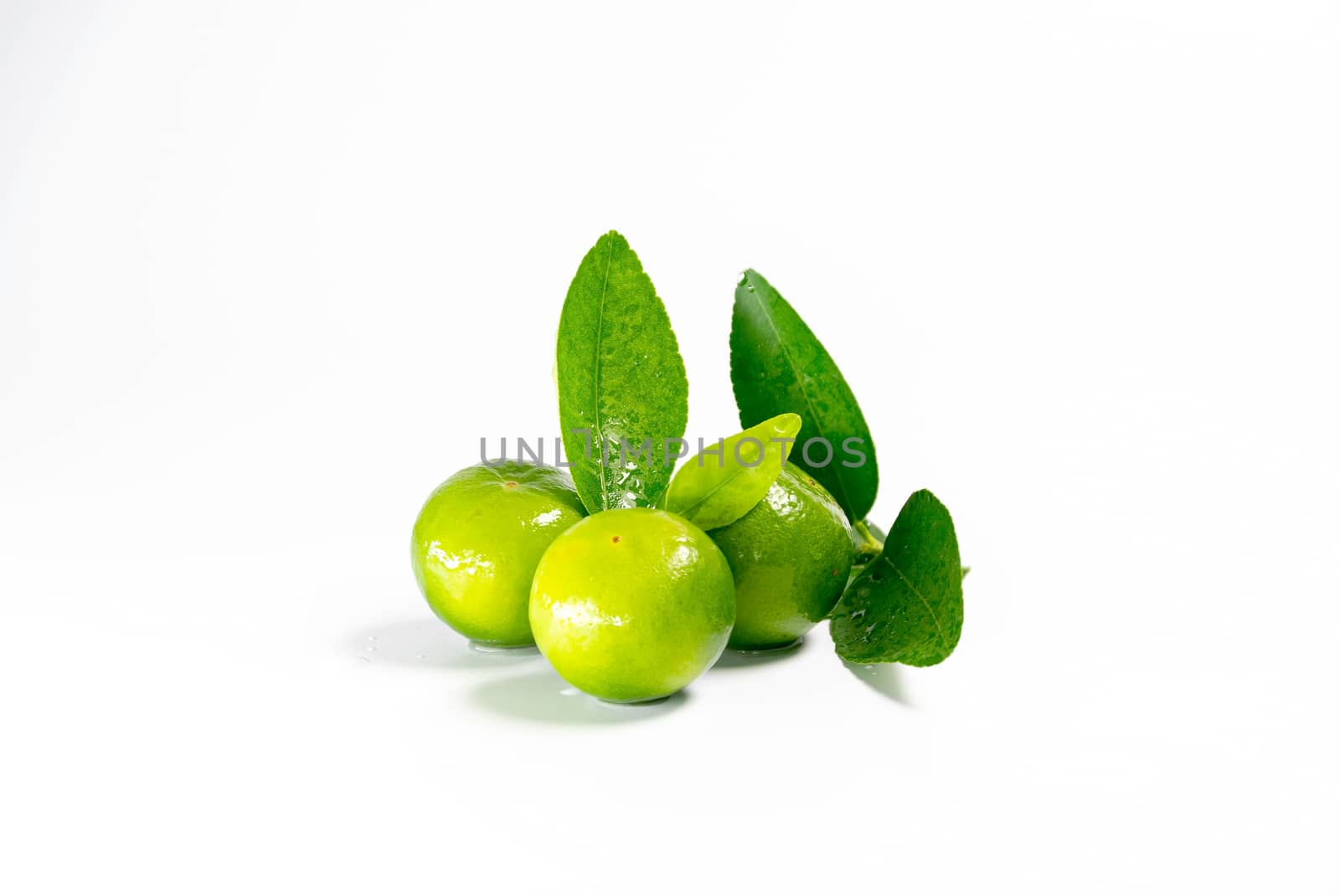 Fresh lemons and green leaves for cooking isolated on white background.