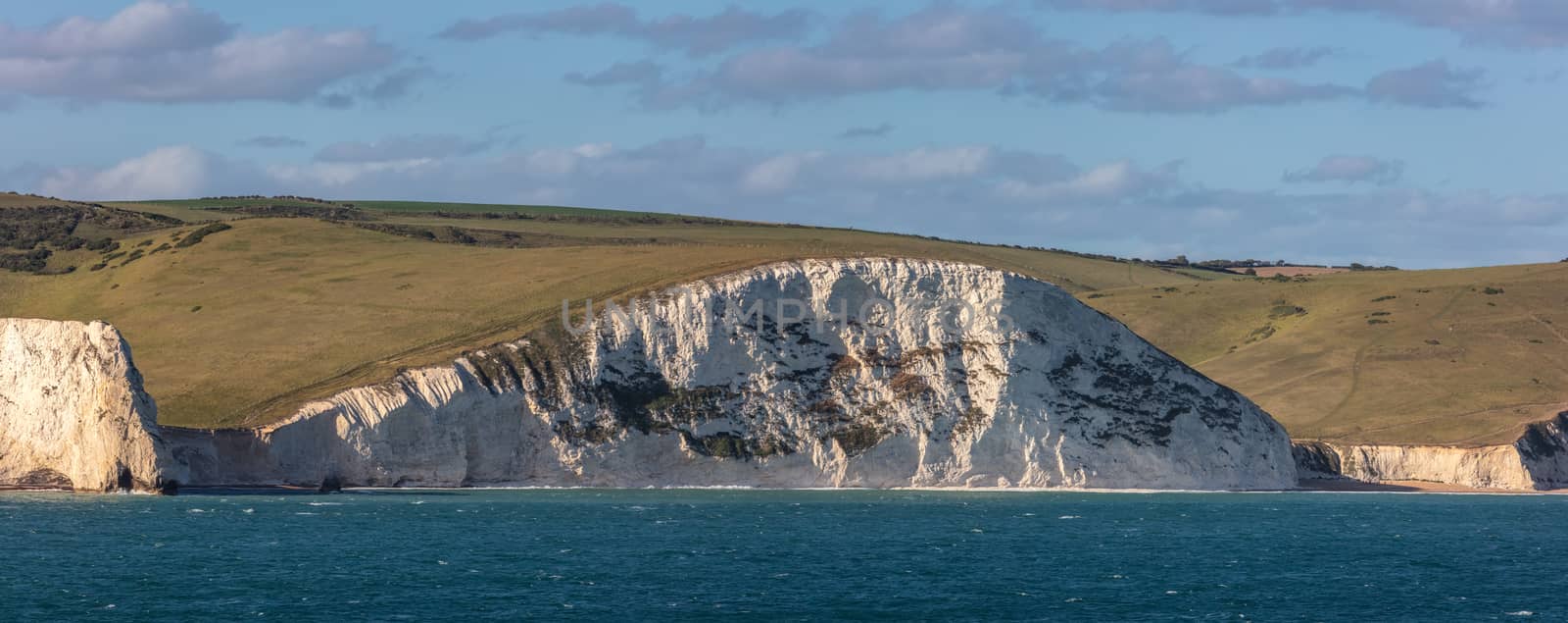 Beautiful panorama of white cliffs in Weymouth Bay, UK. Gorgeous blue sky as a background. by DamantisZ