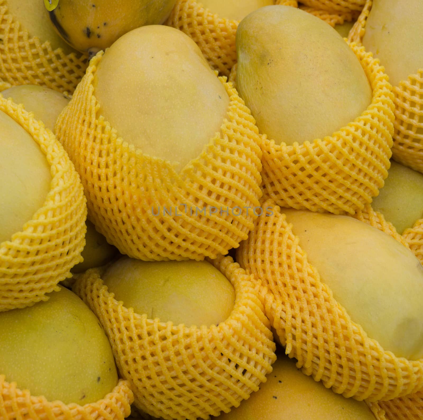 Delicious fresh ripe yellow mango individually wrapped on the market