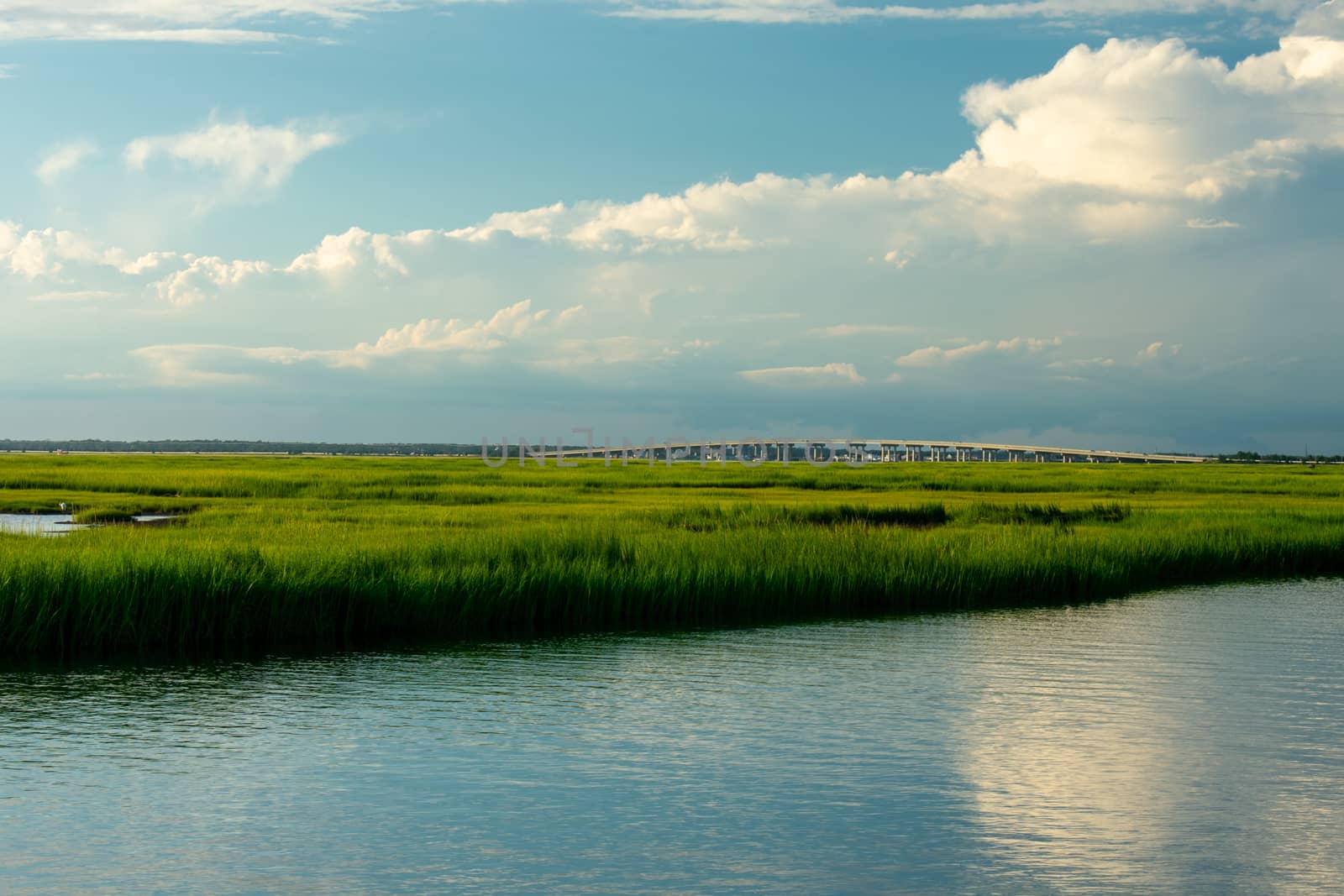 A Gorgeous View of the Bay and Lush Swampland Behind Wildwood New Jersey