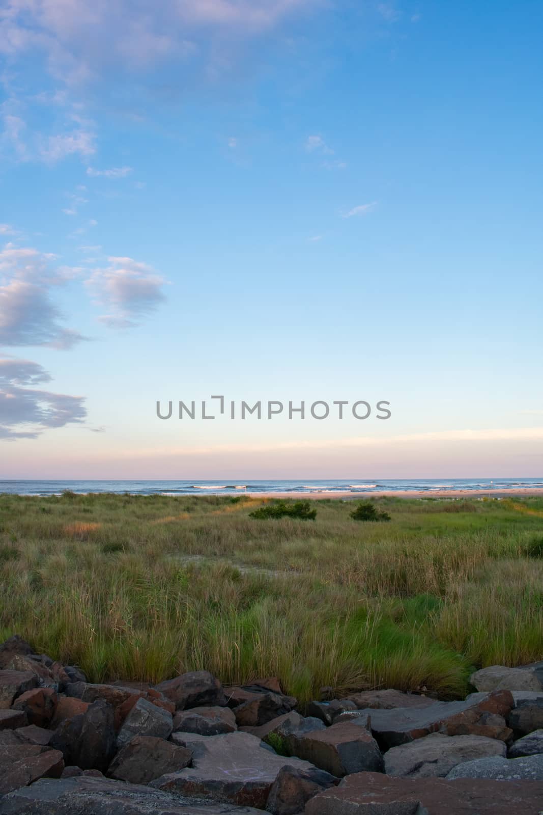 A Beautiful View of Sand Dunes Covered in Plants on the Beach With the OCean and Sky Over Them at a Rock Wall in Wildwood New Jersey