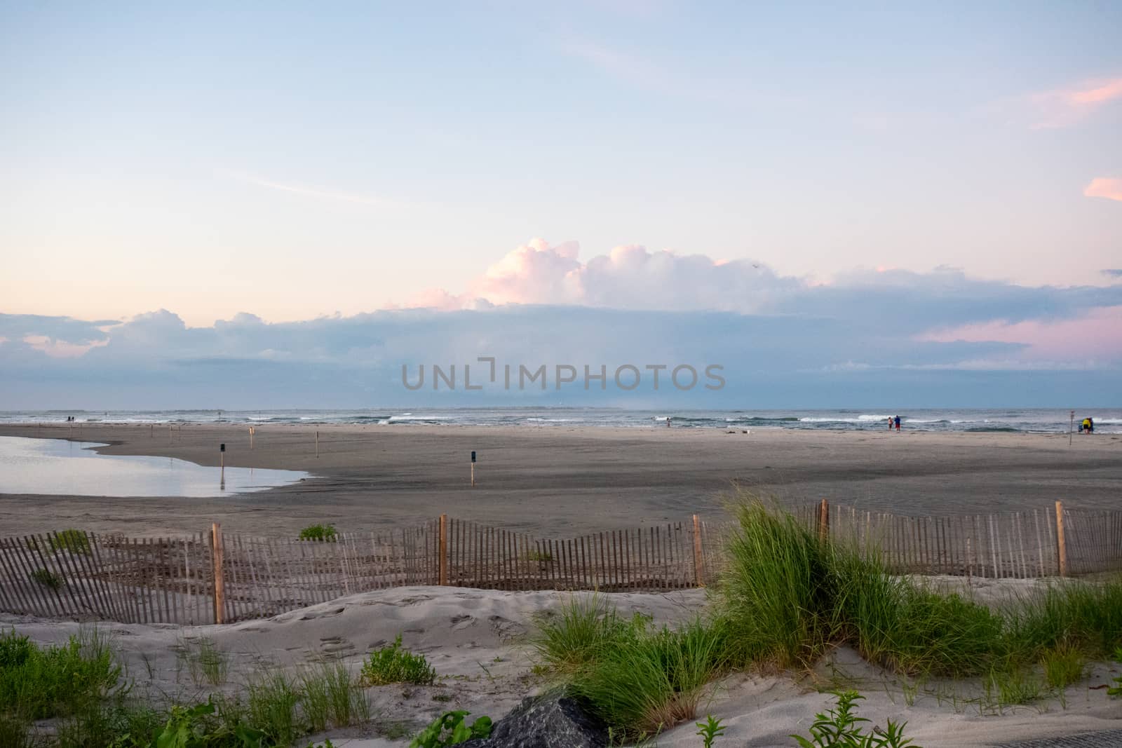 A Gorgeous Beach View With Plants Dunes and a Small Wooden Fence by bju12290