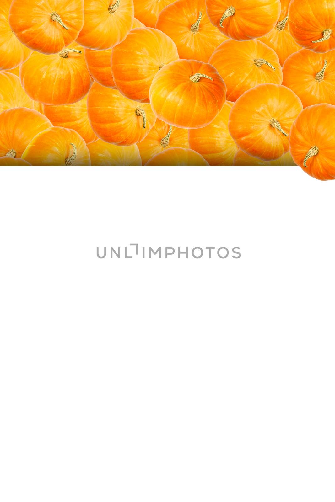 Creative layout made of pumpkin. Flat lay. Food concept. Orange ripe pumpkin modern layout can be used for menu or for halloween mockup by PhotoTime