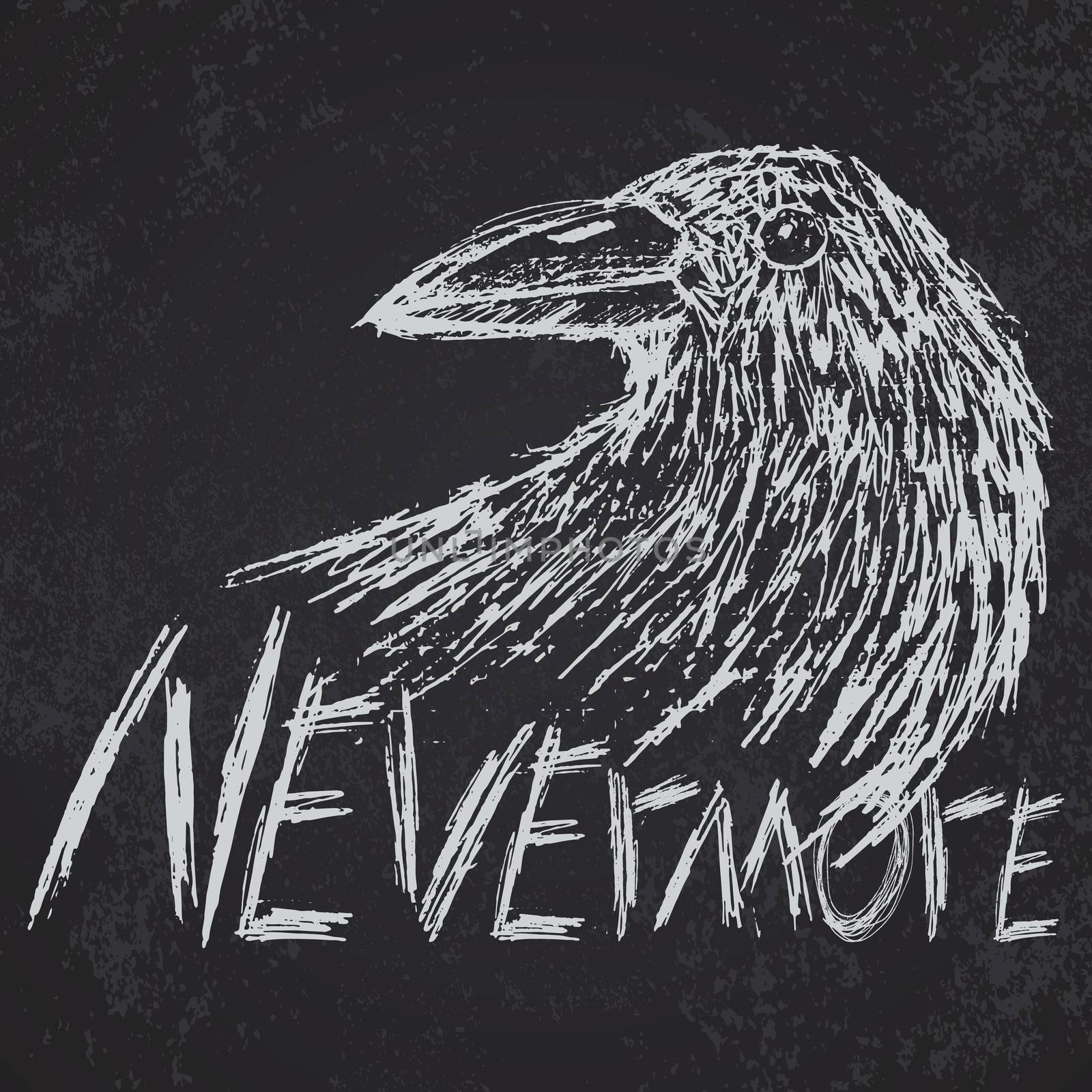 Crow raven handdrawn sketch text nevermore on blackboard.