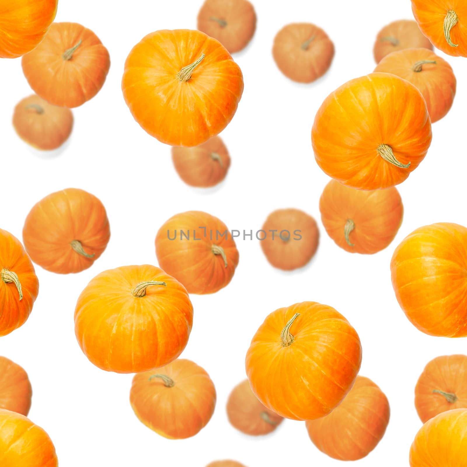 Seamless pattern with pumpkin. Pumpkin quality pattern. Autumn abstract seamless pattern made from Pumpkins on the white background.