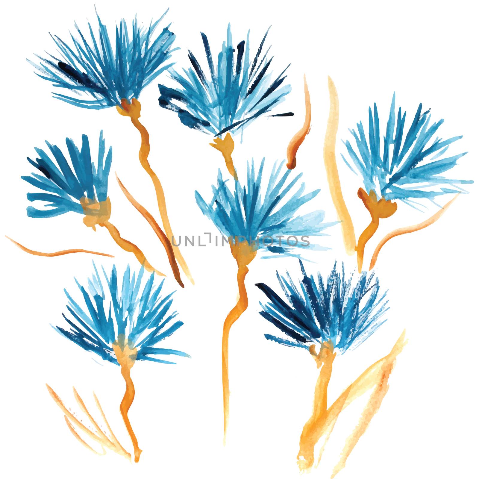 Hand Painted blue watercolor flowers isolated on white background.