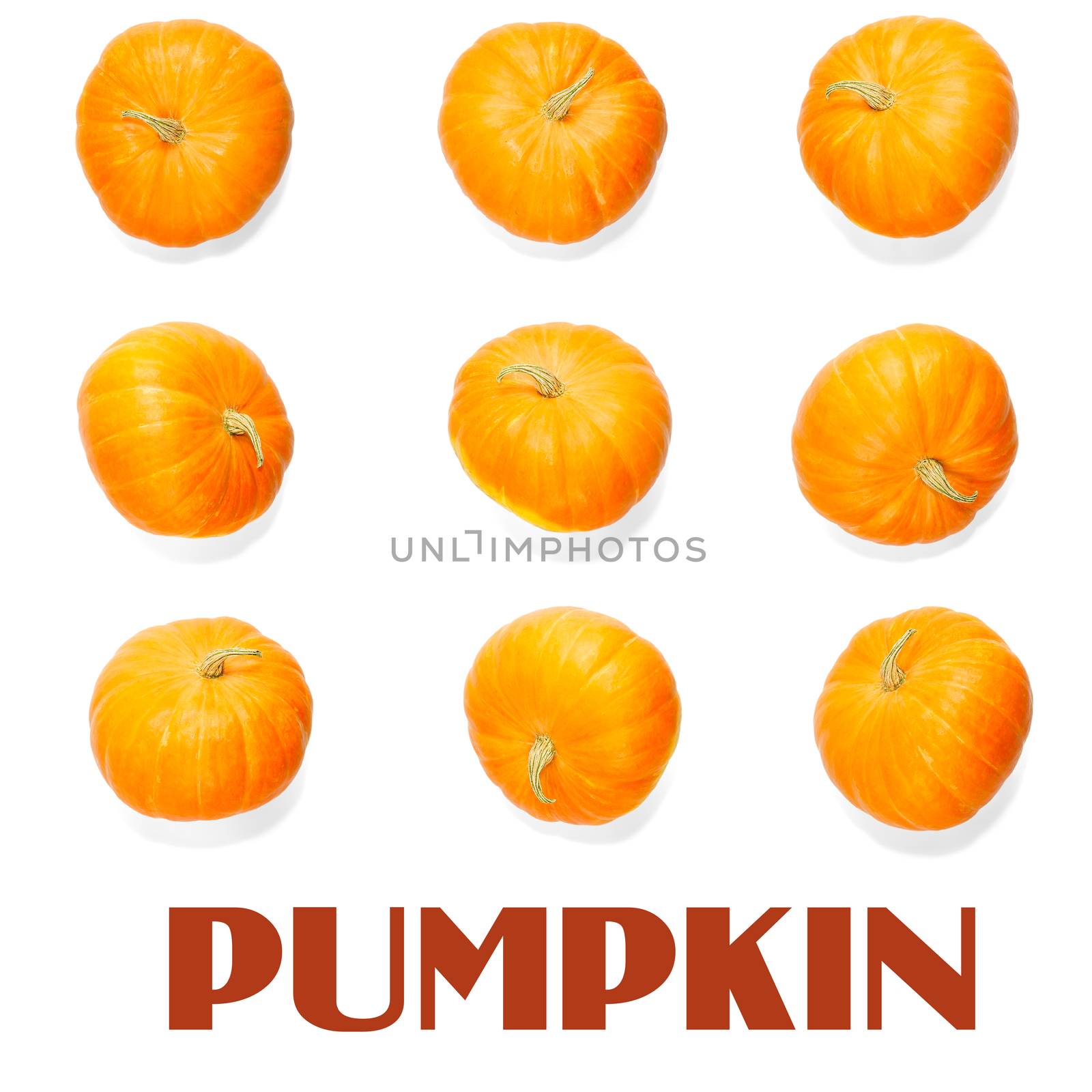 Creative layout made of pumpkin. Flat lay. Food concept. Orange ripe pumpkin modern layout can be used for menu or for halloween mockup. modern autumn layout