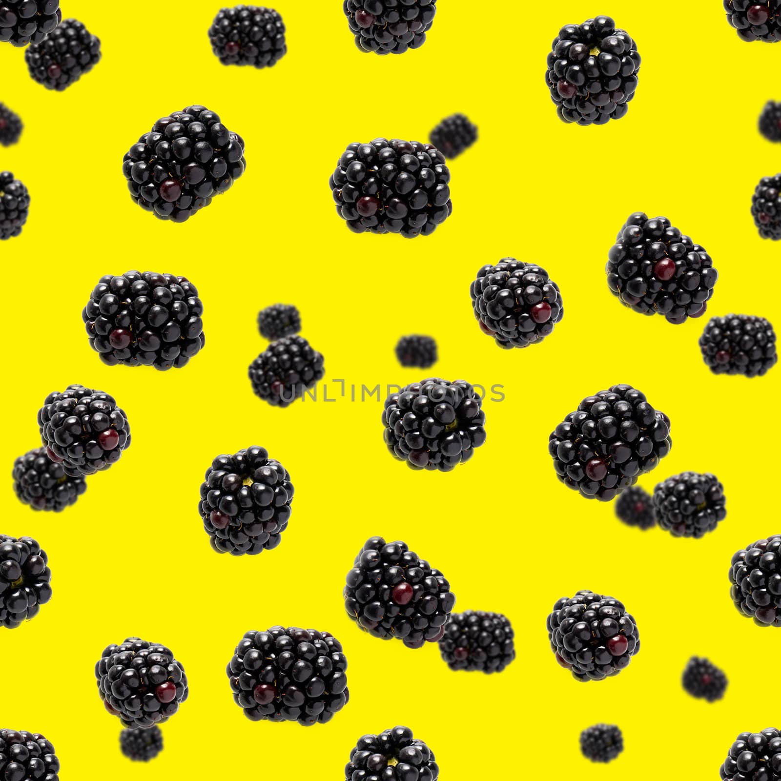 Falling Bramble Seamless pattern. Fresh Falling blackberry seamless pattern. Square pattern with fresh wild berries isolated on yellow background. flat lay.