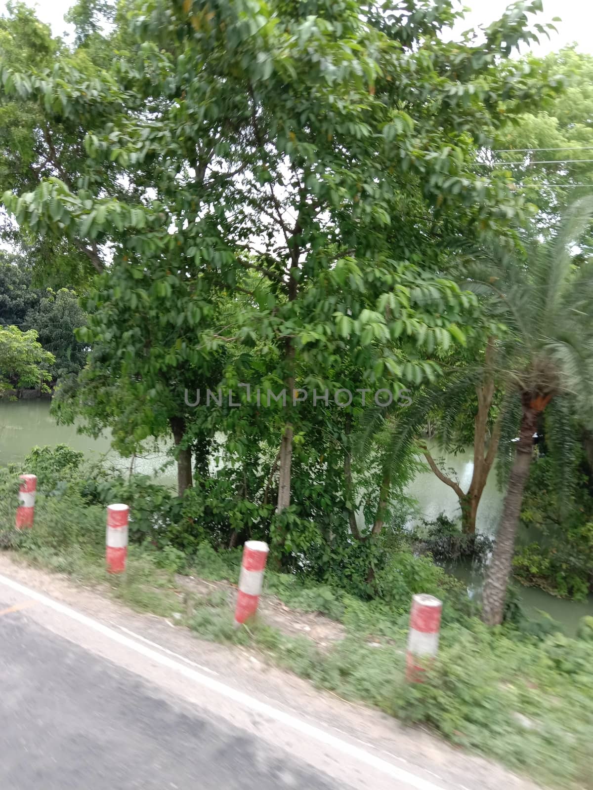 Highway closeup with nature and green