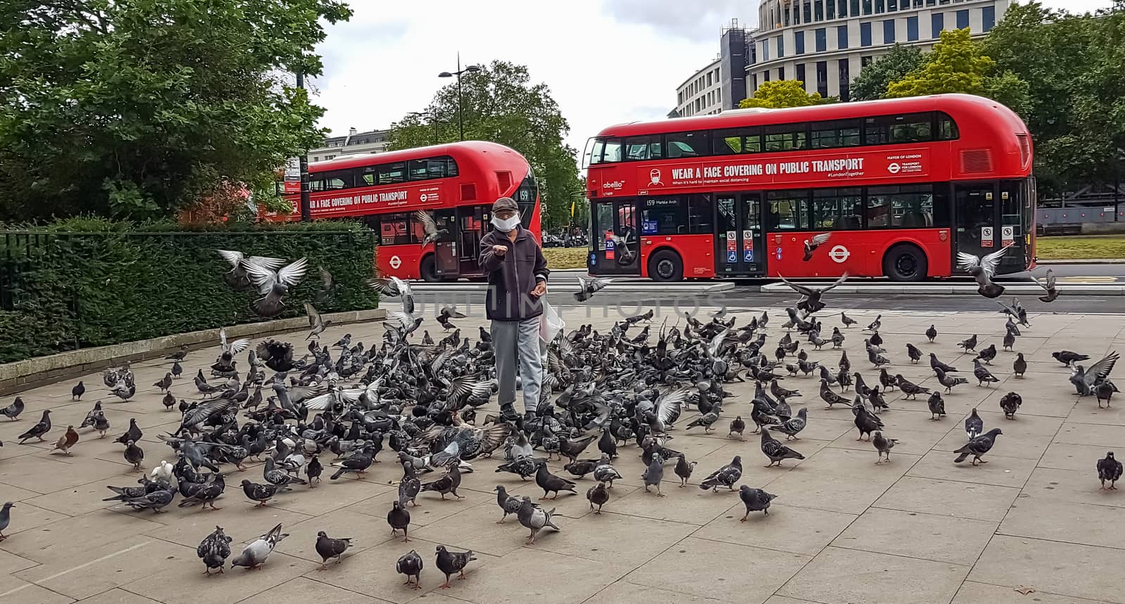 London, UK - July 8, 2020: An old man standing at Hyde Park entrance surrounded by pigeons next to modern red double-decker buses waiting for people in central London by DamantisZ