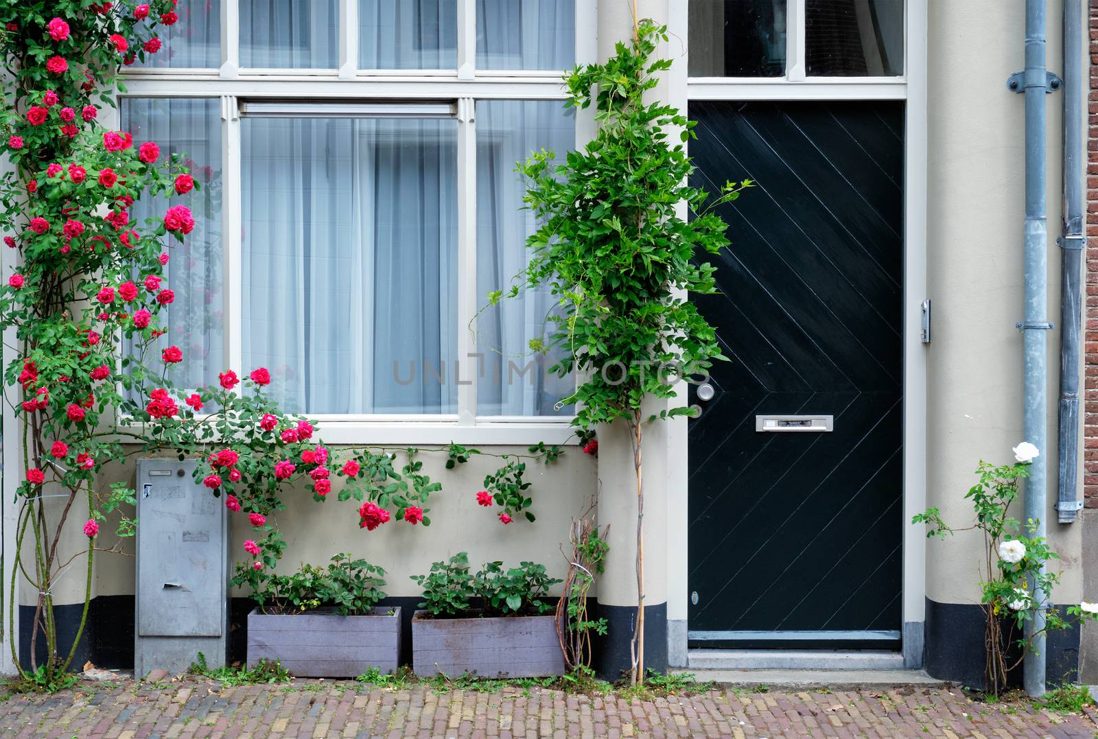 Door and window of an old house in Netherlands by dimol