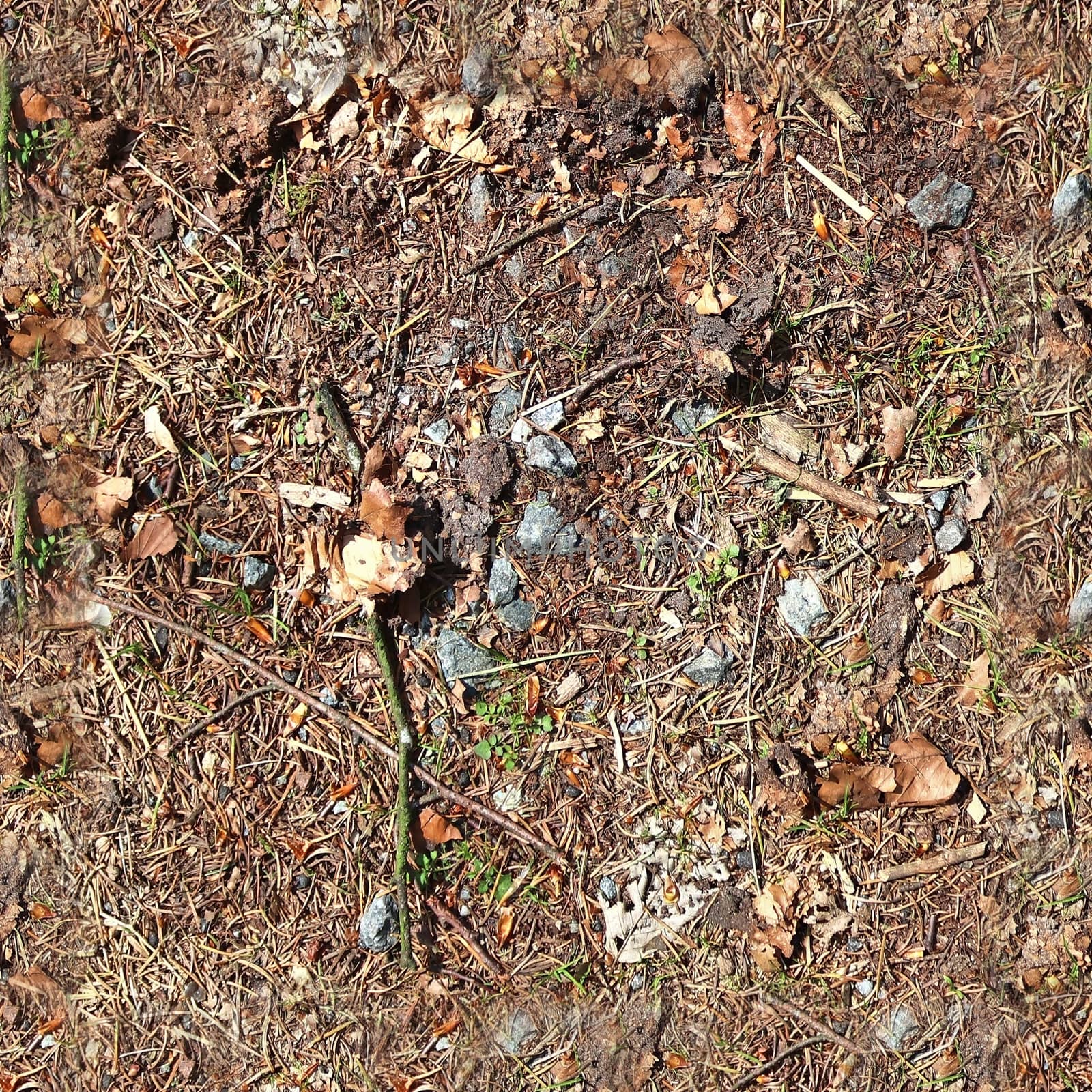 High resolution seamless texture of a forest ground with autumn  by MP_foto71