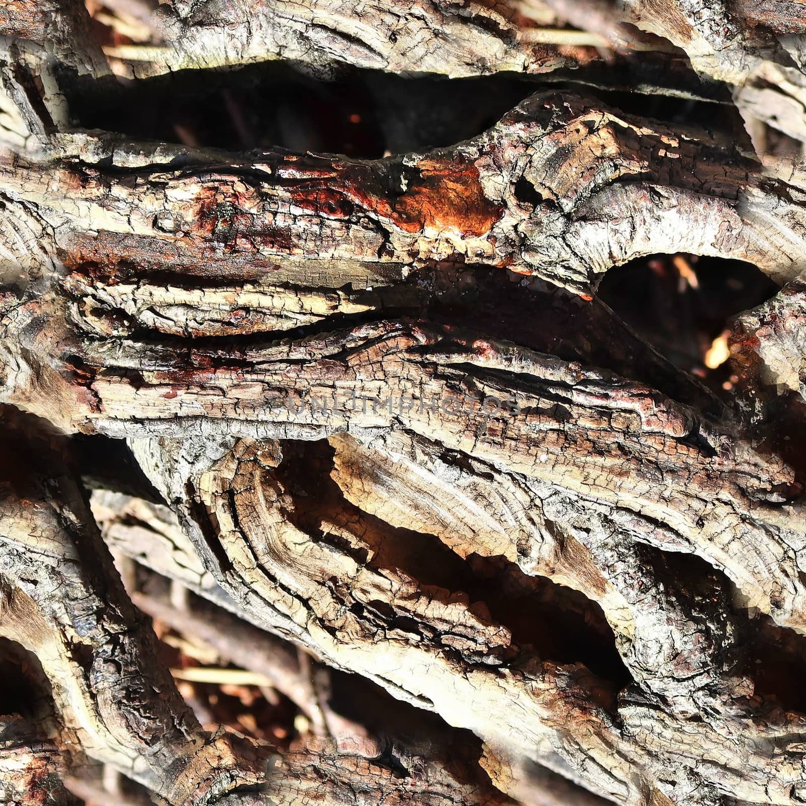 High resolution seamless texture of a forest ground with autumn  by MP_foto71