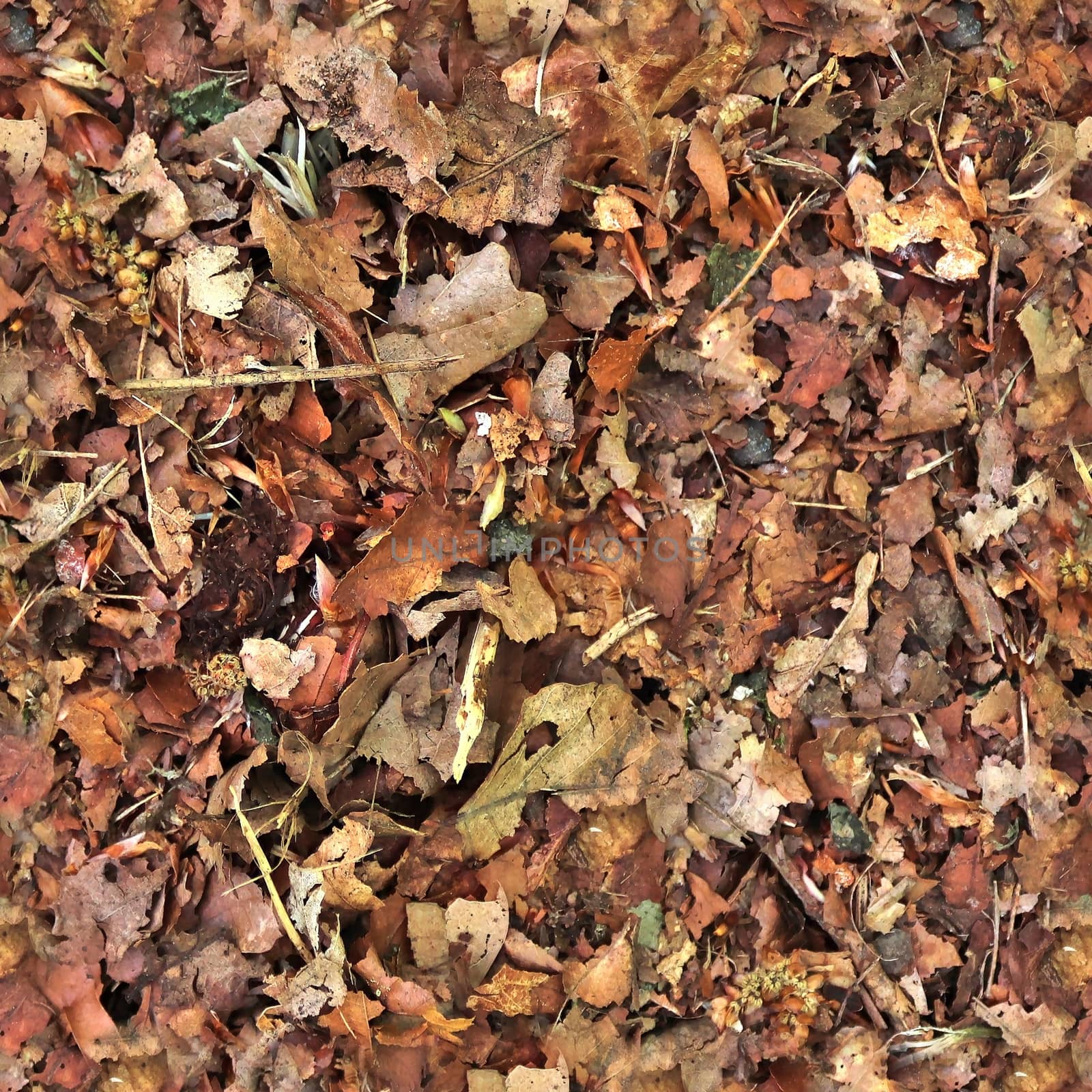 High resolution seamless texture of a forest ground with autumn leaves and nuts