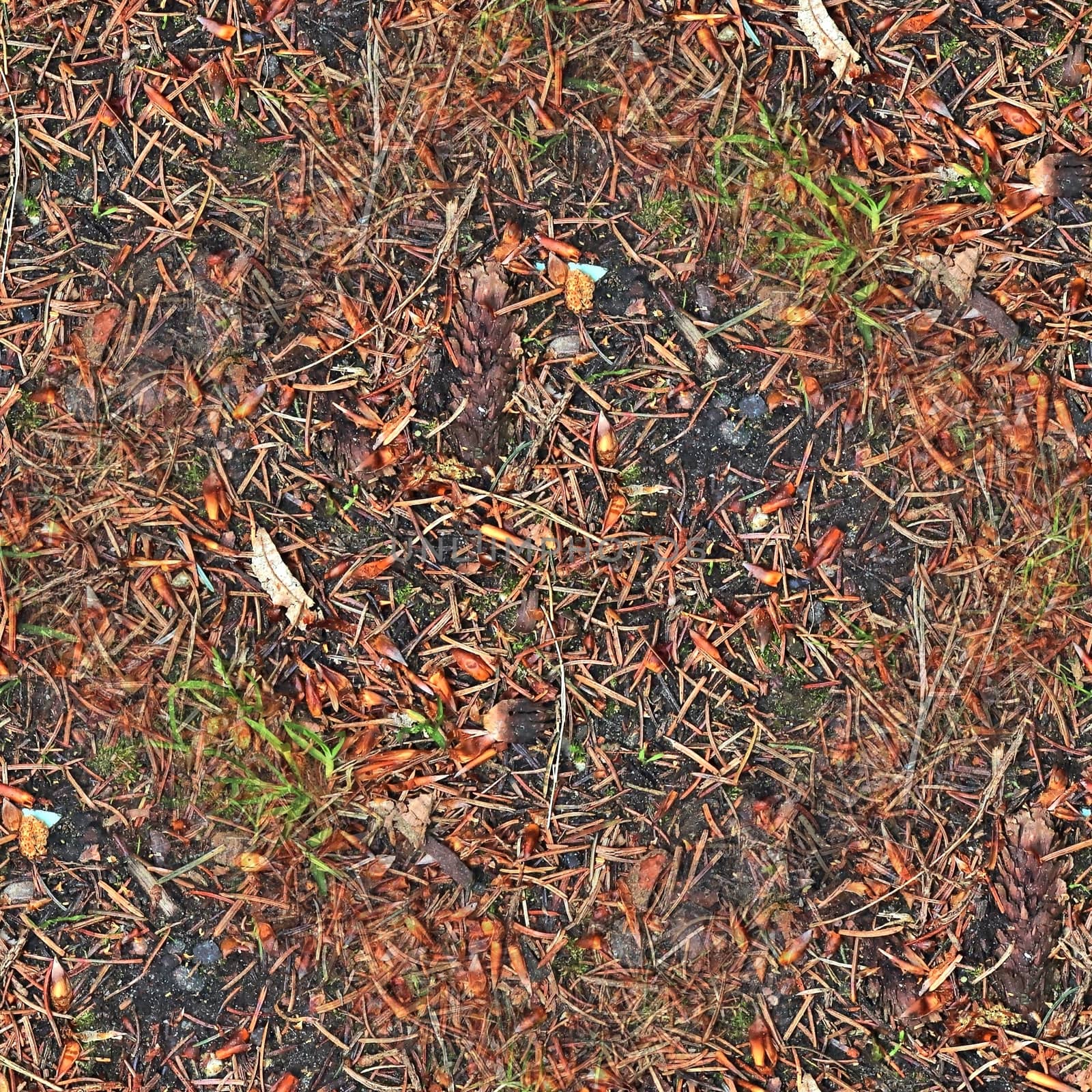 High resolution seamless texture of a forest ground with autumn leaves and nuts