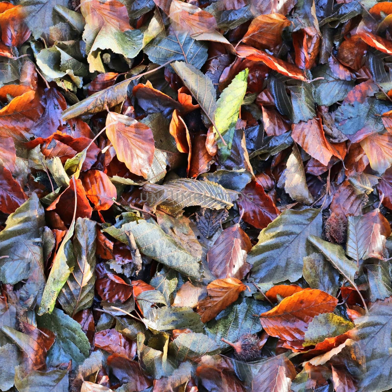 High resolution seamless texture of a forest ground with autumn leaves and nuts