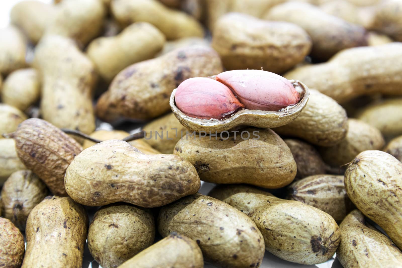 Boiled Peanuts the oval seed of a South American plant, widely roasted and salted and eaten as a snack.