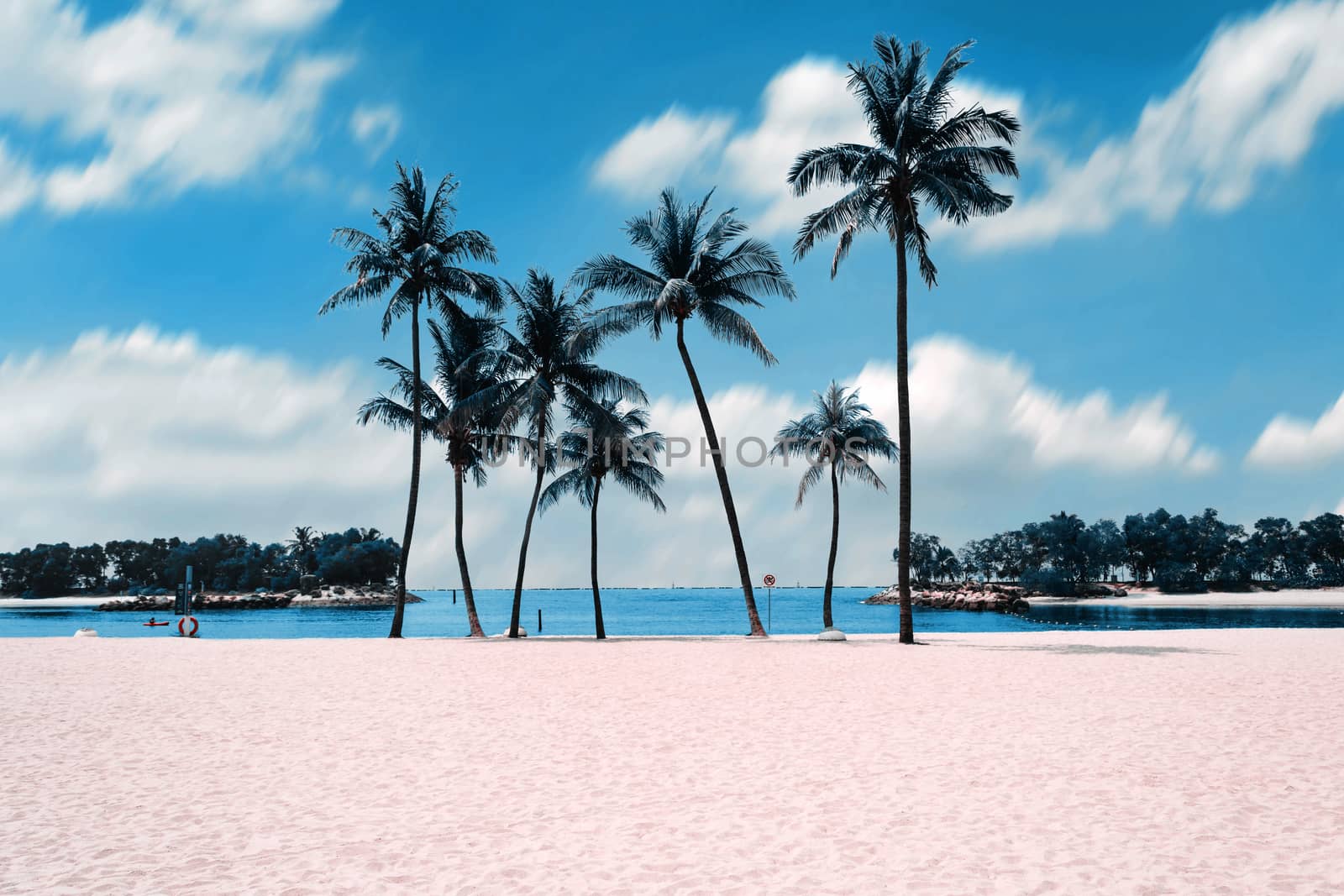 Group of coconut trees with the white sands on the beach with beautiful clouds sky background.