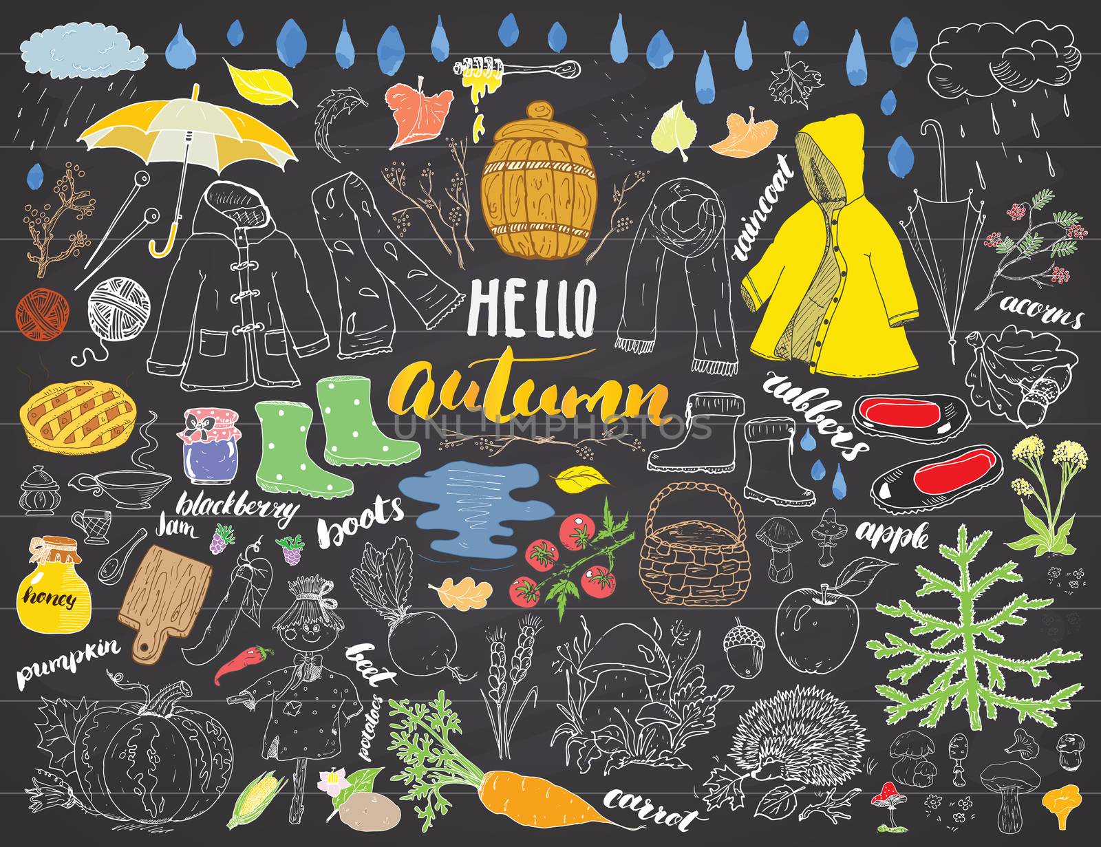 Autumn season set. Hand drawn doodles and lettering vector illustration