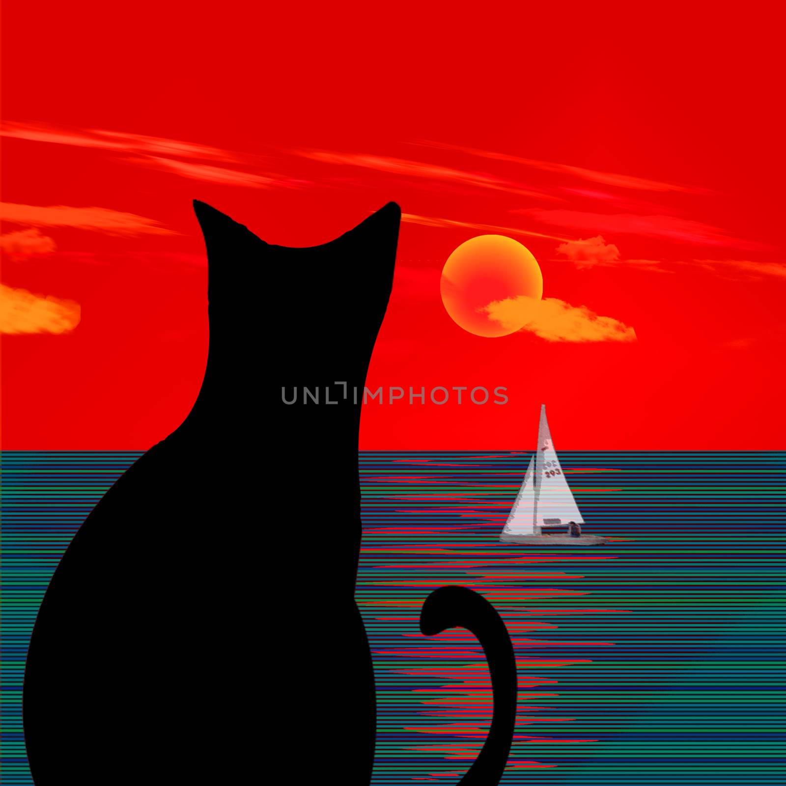 Black cat on ocean sunset. 3D rendering