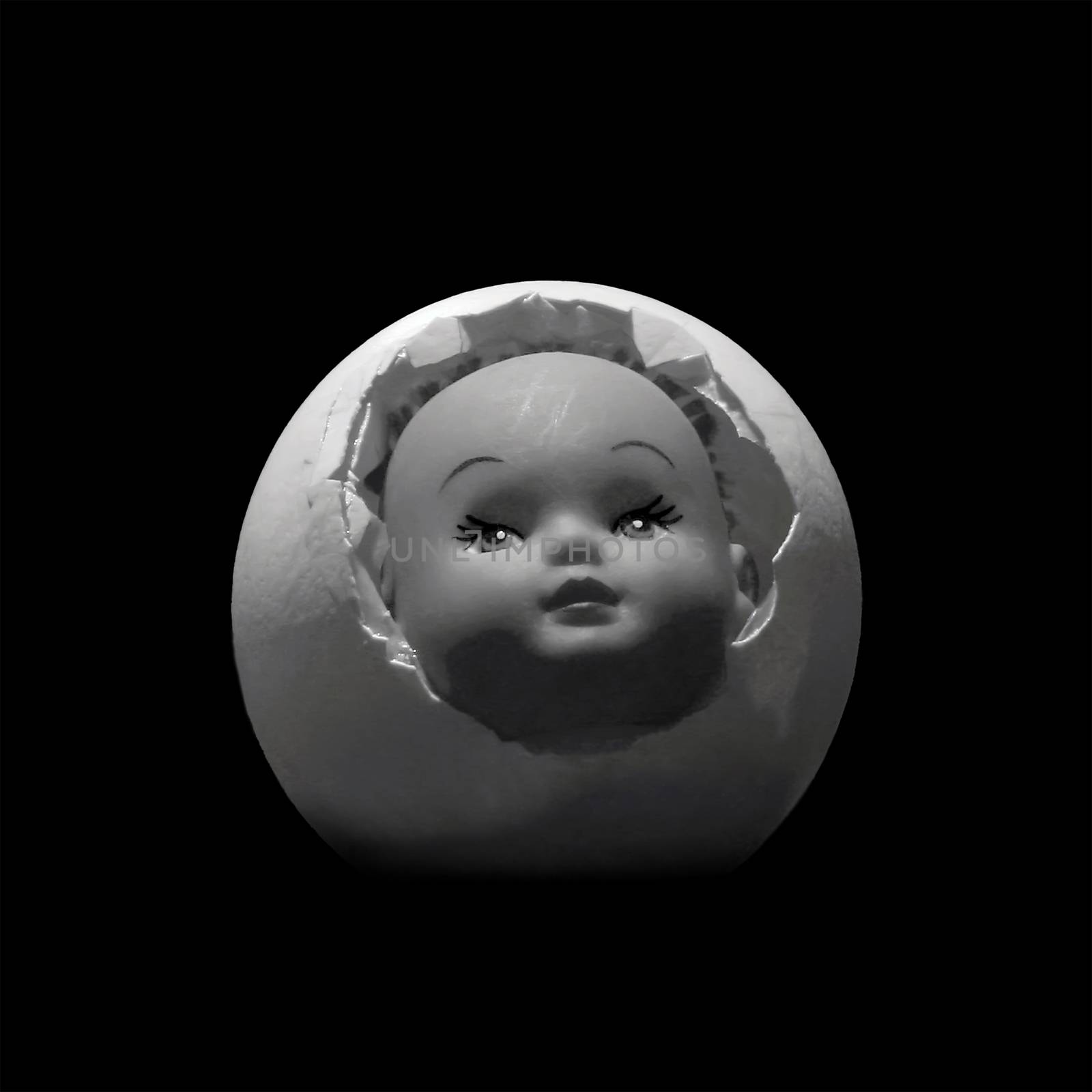 Baby head in an egg isolated on a black background. Birth concept
