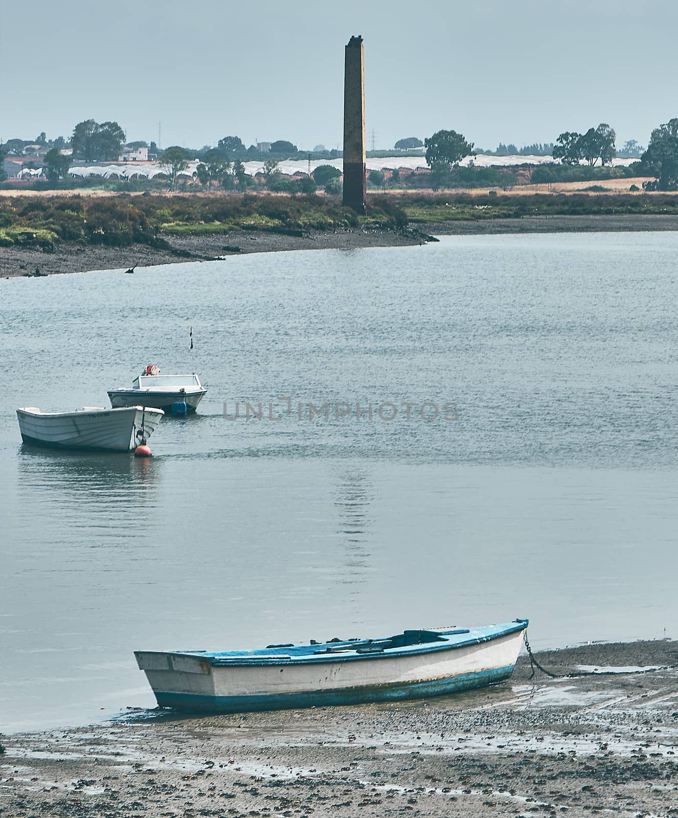 Fishing bay with boats at sea and in the mud and crabs walking in the sand