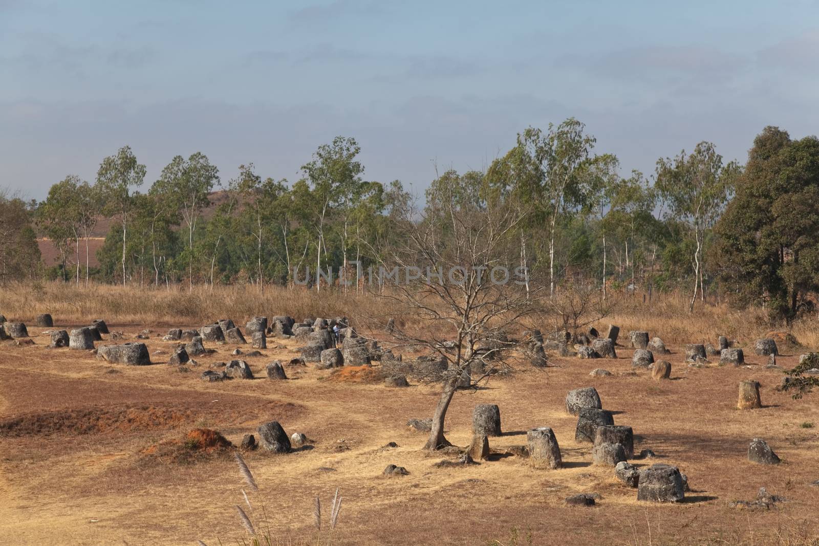 Plain of Jars, Phonsavan Laos mysterious location of stone jars 2000 years old by kgboxford