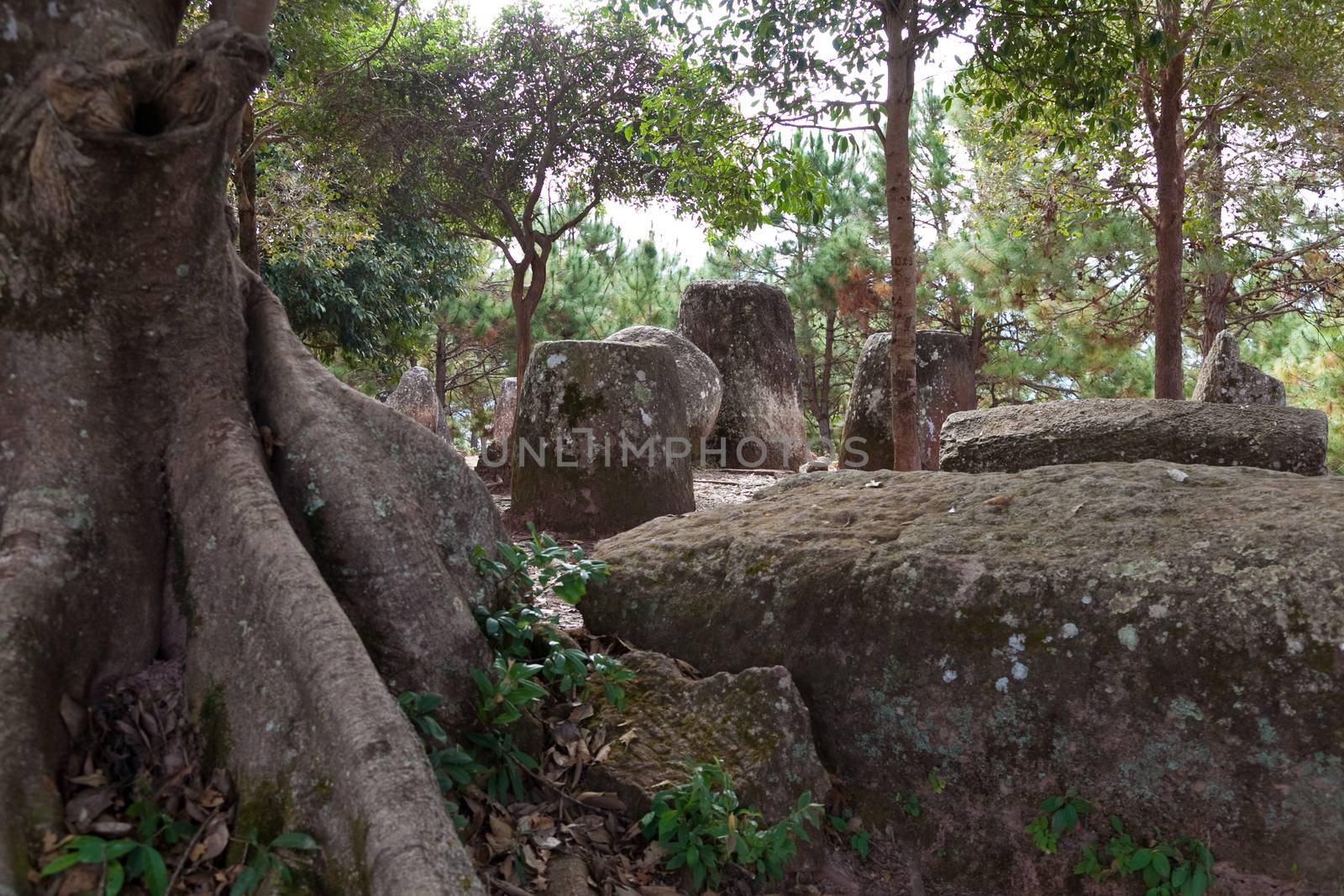 Plain of Jars, Phonsavan Laos mysterious location of stone jars 2000 years old by kgboxford