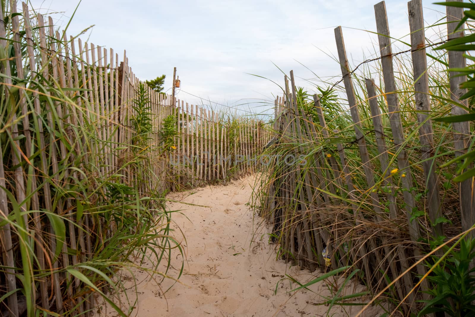 A Sandy Path With An Old Wooden Fence and Overgrown Plants on Ea by bju12290