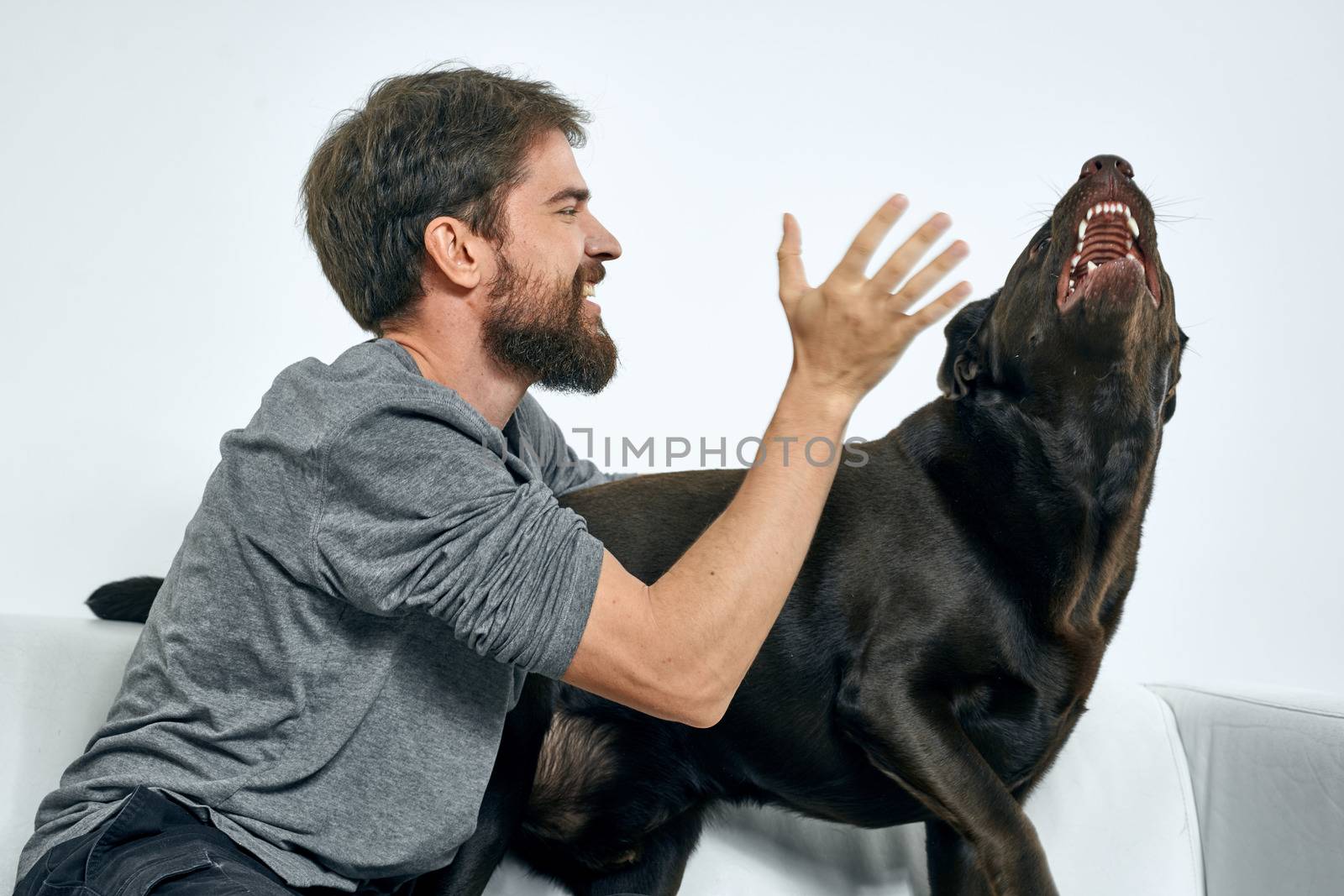 Happy man and dog on the couch In a bright room pet is a friend of man. High quality photo